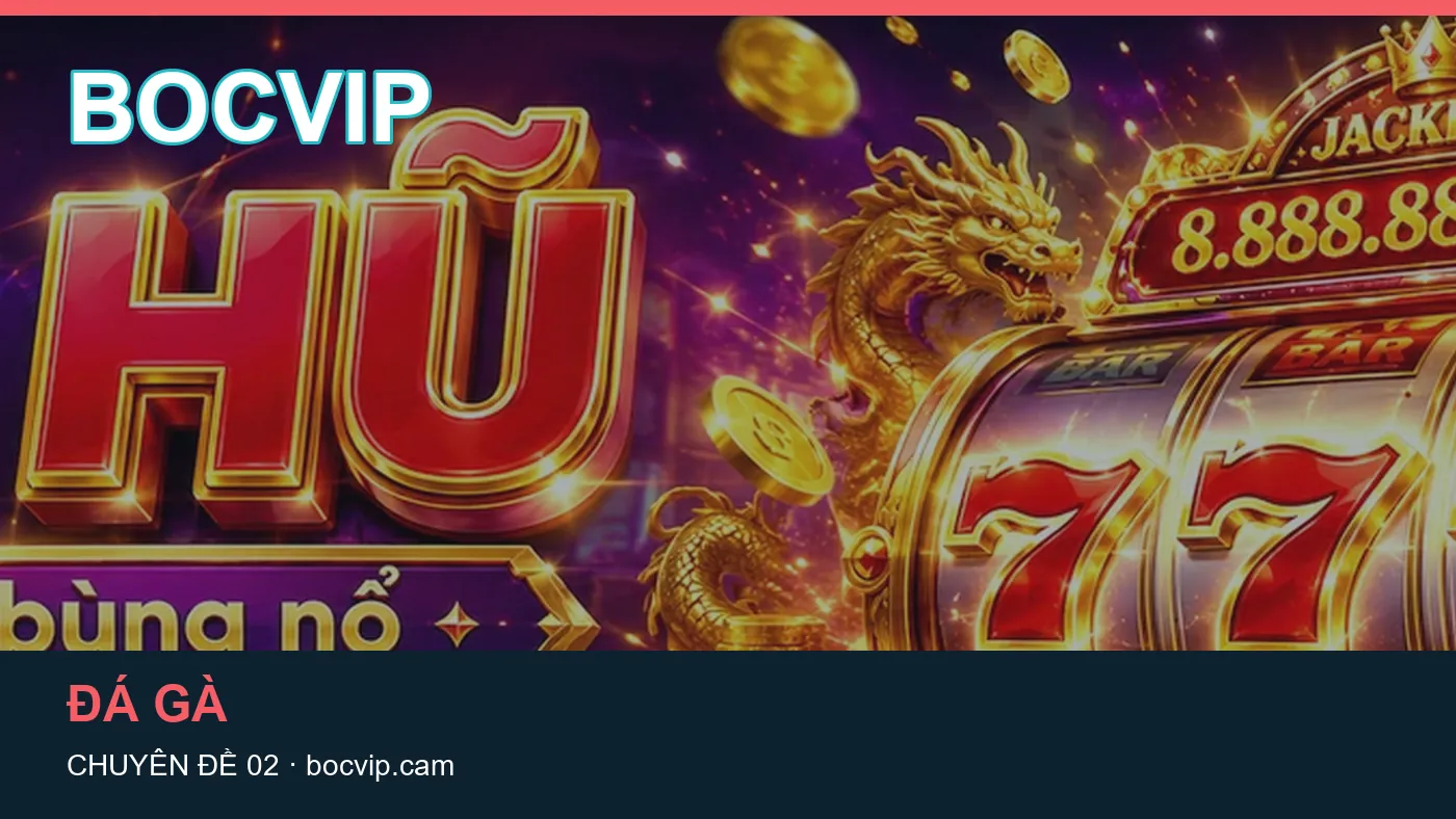 Danh sách kiểm tra thông tin Game bài dành cho người đọc BOCVIP